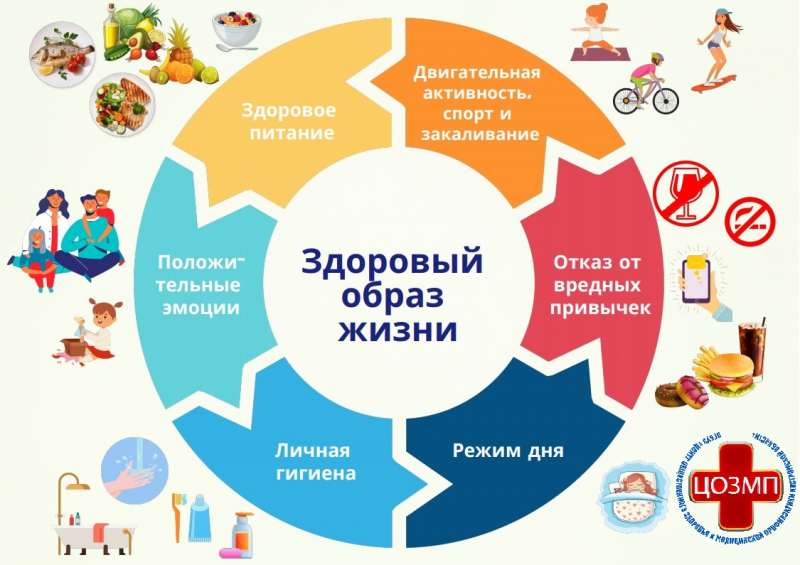 Здоровый образ жизни