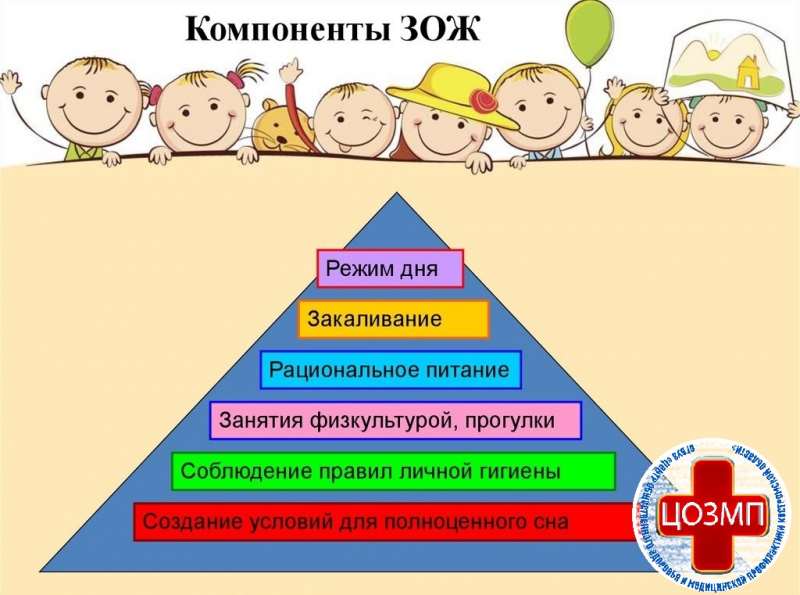 КомпонентыЗОЖ